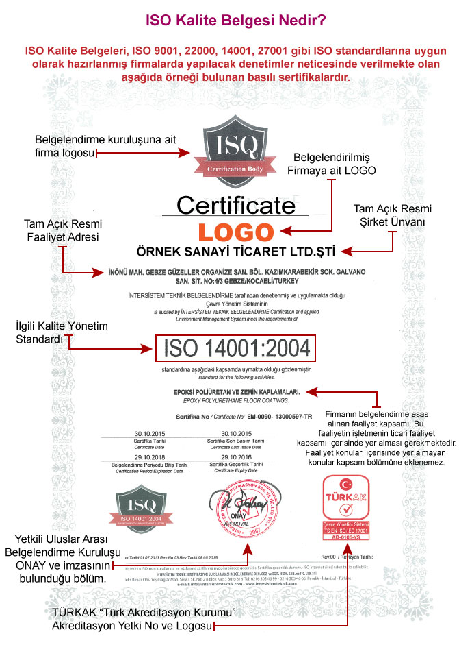 Örnek ISO Kalite Belgesi